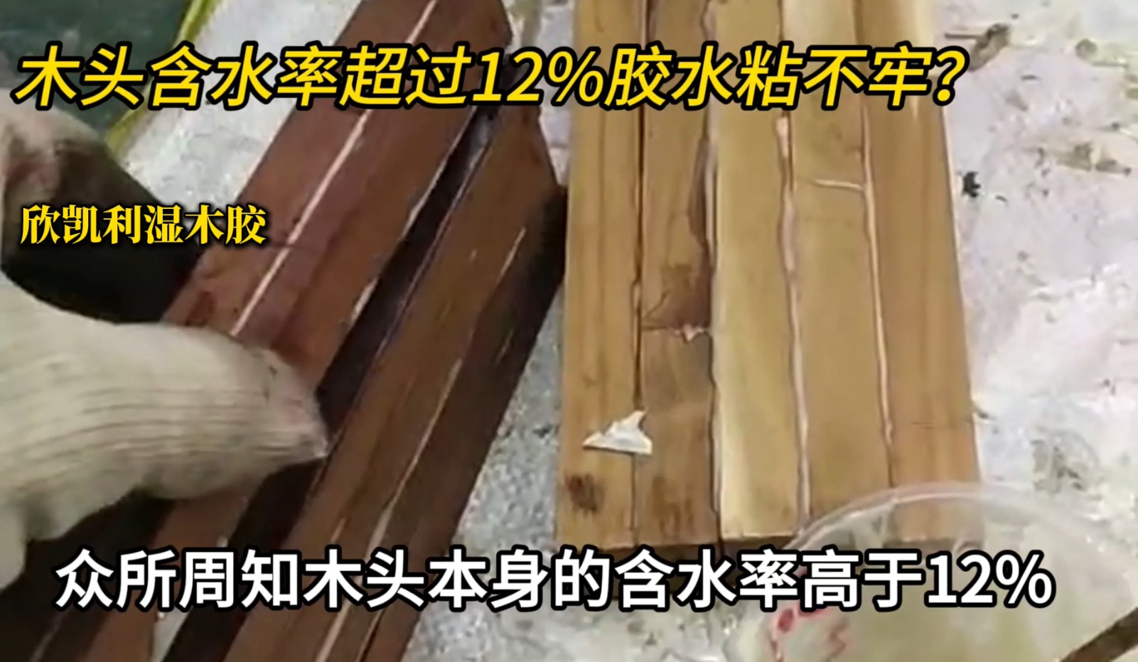 欣凱利濕木膠可用于：橡木、胡桃木、楓木、櫻桃木松木、杉木等木種